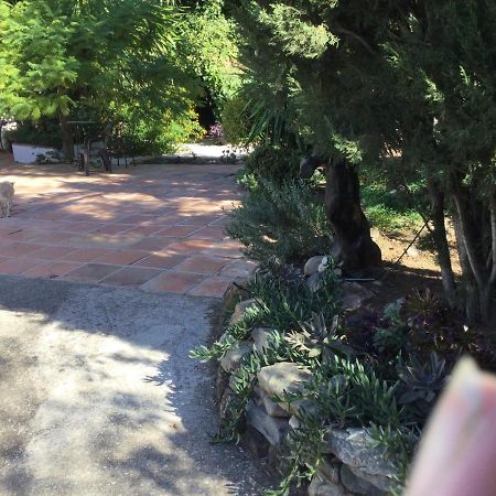 Finca El Rio, The Studio Self Catering With Pool And Hydrotherapy Jacuzzi Set In Beautiful Gardens, Guaro Kültér fotó