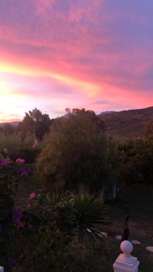 Finca El Rio, The Studio Self Catering With Pool And Hydrotherapy Jacuzzi Set In Beautiful Gardens, Guaro Kültér fotó